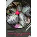Chocolate Soldier Plant: Plant Guide