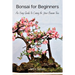 Bonsai for Beginners: An Easy Guide to Caring for Your Bonsai Tree