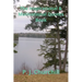 The Inspirational & Motivational Quotes Book