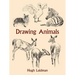 Drawing Animals