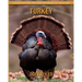 Turkey: A Fun and Educational Book for Kids with Amazing Facts and Pictures
