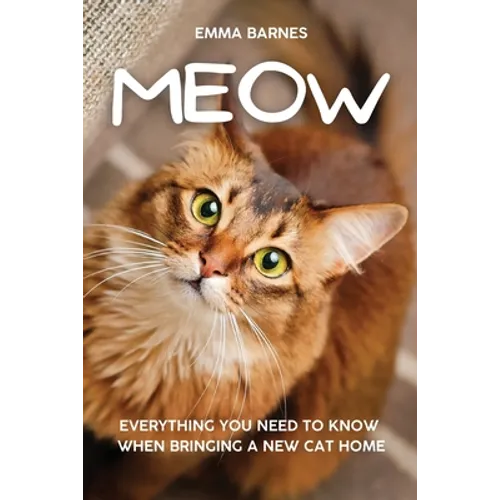 Meow: Everything You Need to Know When Bringing a New Cat Home