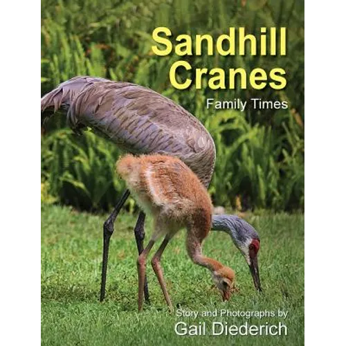 Sandhill Cranes, Family Times