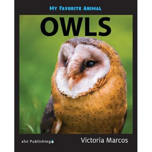 My Favorite Animal: Owls
