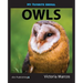 My Favorite Animal: Owls