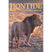 LionTide