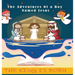 The adventures of a Boy Named Jesus