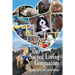Our Sacred Loving Companions