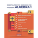 Mastering Algebra 1