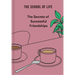 The Secrets of Successful Friendships