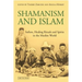 Shamanism and Islam: Sufism, Healing Rituals and Spirits in the Muslim World