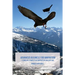 Advanced Business for Innovation: Stimulate Competitor Innovation and Copying