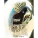 Mythic Texture: Black Fantasy Art Book