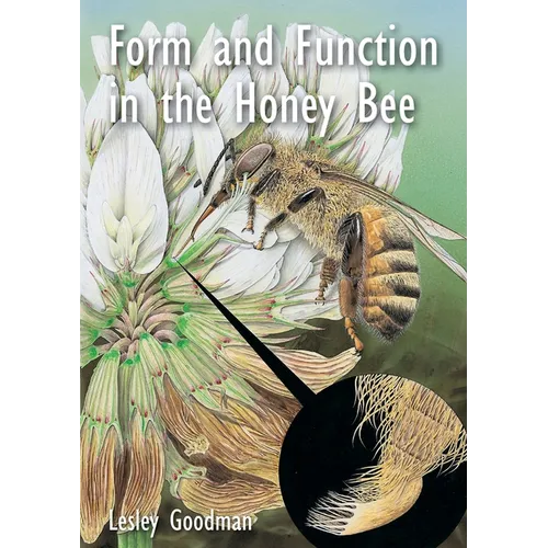 Form and Function in the Honey Bee