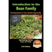 Introduction to the Bean Family - Growing Beans in Your Garden Organically