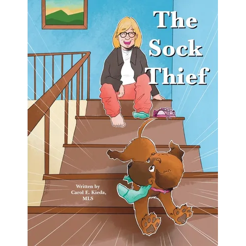 The Sock Thief