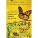How to Raise Monarch Butterflies: Guiding Wings: A Practical Guide to Nurturing Monarch Butterflies"