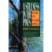 A Stillness in the Pines: The Ecology of the Red Cockaded Woodpecker