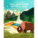 Yellowstone National Park: Lift the Fact