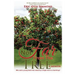 Not Far From The Tree