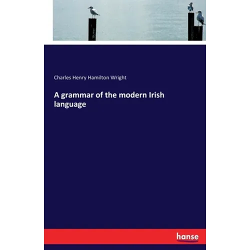 A grammar of the modern Irish language