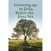 Growing up in Jena, Before the Jena Six
