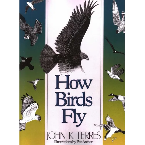 How Birds Fly