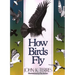 How Birds Fly