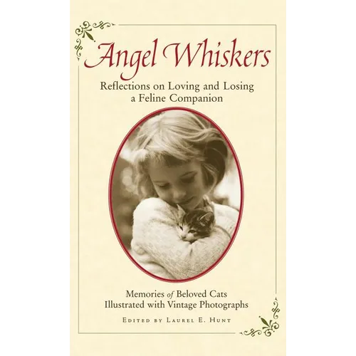 Angel Whiskers: Reflections on Loving and Losing a Feline Companion