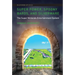 Super Power, Spoony Bards, and Silverware: The Super Nintendo Entertainment System