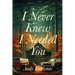 I Never Knew I Needed You