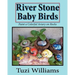 River Stone Baby Birds: Paint a Colorful Aviary on Rocks