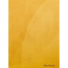 Citizens of Rowan County, North Carolina and Vicinity Volume 1: 1820 - 1822