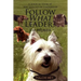 Follow What Leader?: A Logical Look at the Lessons of Leadership