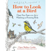 How to Look at a Bird: Open Your Eyes to the Joy of Watching and Knowing Birds