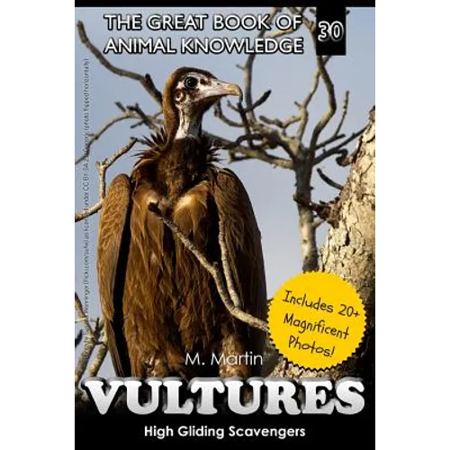 Vultures: High Gliding Scavengers