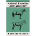 Animal Drawing and Anatomy