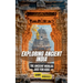 Exploring Ancient India: The Ancient Worlds Just For Kids