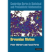 Brownian Motion