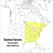 A Peterson Field Guide to Eastern Forests: North America