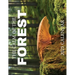 The Calm of the Forest 2025 Calendar