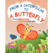 From a Caterpillar to a Butterfly