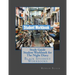 Study Guide Student Workbook for The Night Diary: Black Student Workbooks