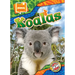 Koalas
