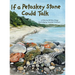 If a Petoskey Stone Could Talk