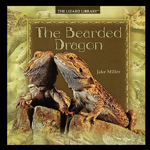 Bearded Dragon