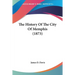 The History Of The City Of Memphis (1873)
