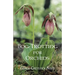 Bog-Trotting for Orchids