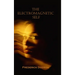The Electromagnetic Self