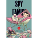 Spy X Family, Vol. 9